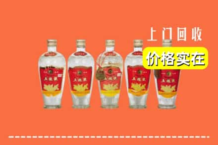 诚信求购:长安区高价回收老五粮液